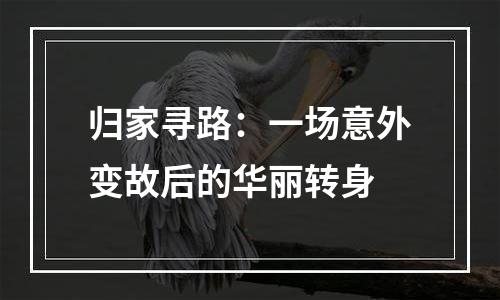 归家寻路：一场意外变故后的华丽转身