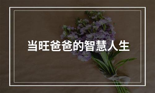 当旺爸爸的智慧人生