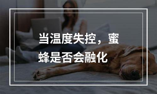当温度失控，蜜蜂是否会融化