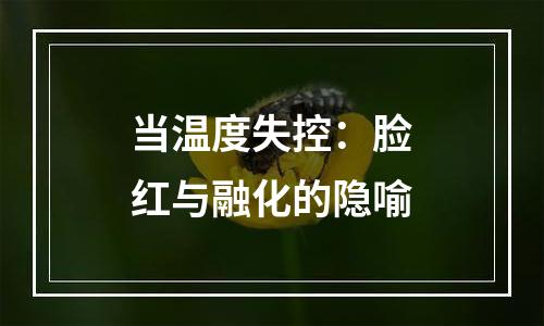当温度失控：脸红与融化的隐喻