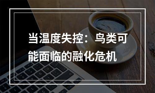 当温度失控：鸟类可能面临的融化危机