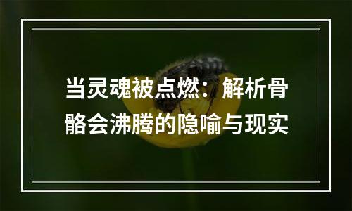 当灵魂被点燃：解析骨骼会沸腾的隐喻与现实