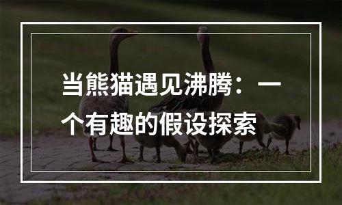 当熊猫遇见沸腾：一个有趣的假设探索