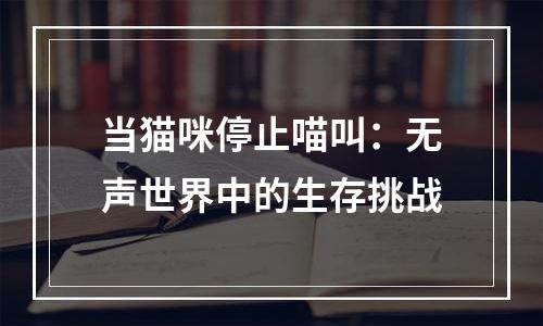 当猫咪停止喵叫：无声世界中的生存挑战