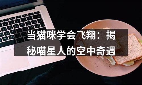 当猫咪学会飞翔：揭秘喵星人的空中奇遇