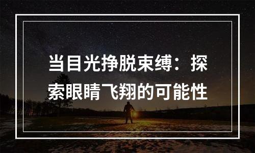 当目光挣脱束缚：探索眼睛飞翔的可能性