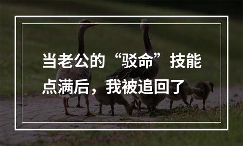 当老公的“驳命”技能点满后，我被追回了