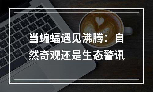 当蝙蝠遇见沸腾：自然奇观还是生态警讯