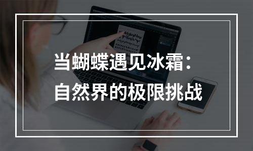 当蝴蝶遇见冰霜：自然界的极限挑战