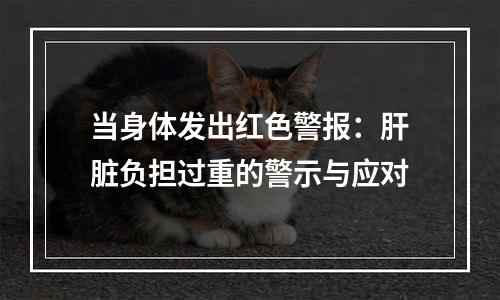 当身体发出红色警报：肝脏负担过重的警示与应对
