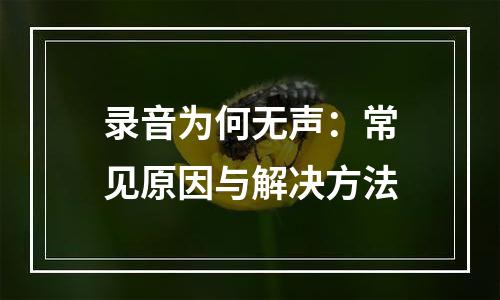 录音为何无声：常见原因与解决方法