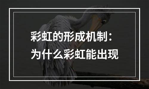 彩虹的形成机制：为什么彩虹能出现