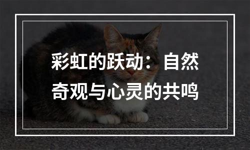 彩虹的跃动：自然奇观与心灵的共鸣