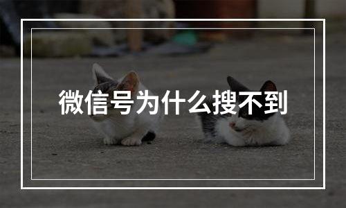 微信号为什么搜不到