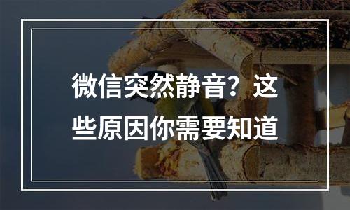 微信突然静音？这些原因你需要知道