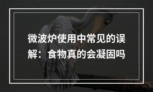 微波炉使用中常见的误解：食物真的会凝固吗