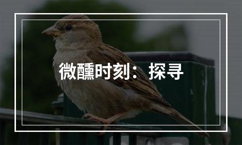 微醺时刻：探寻