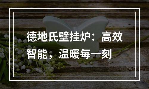 德地氏壁挂炉：高效智能，温暖每一刻