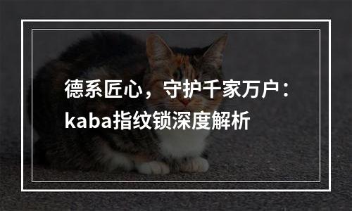 德系匠心，守护千家万户：kaba指纹锁深度解析