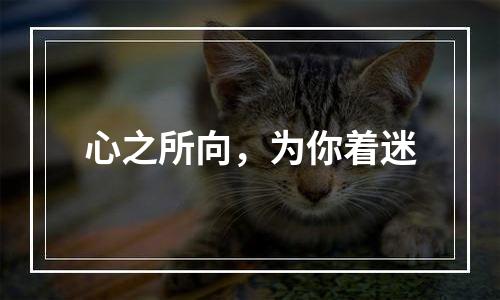 心之所向，为你着迷