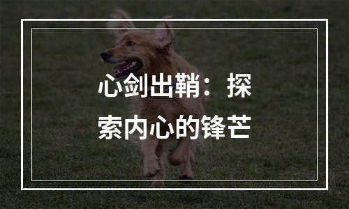 心剑出鞘：探索内心的锋芒