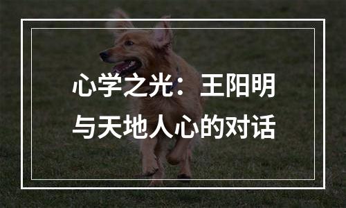 心学之光：王阳明与天地人心的对话