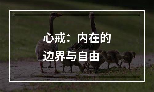 心戒：内在的边界与自由