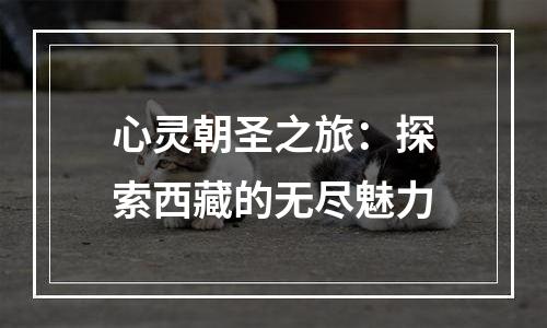 心灵朝圣之旅：探索西藏的无尽魅力