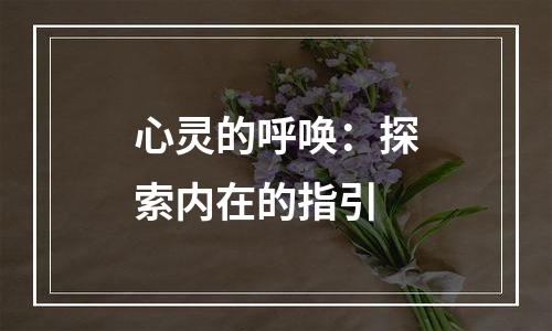 心灵的呼唤：探索内在的指引