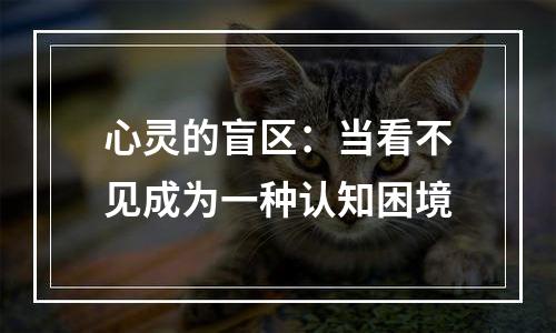 心灵的盲区：当看不见成为一种认知困境