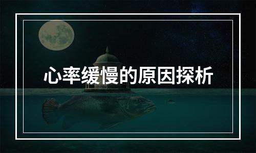 心率缓慢的原因探析