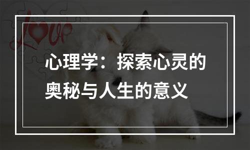 心理学：探索心灵的奥秘与人生的意义