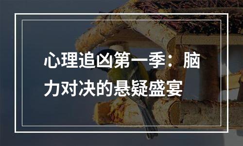 心理追凶第一季：脑力对决的悬疑盛宴