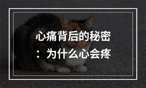 心痛背后的秘密：为什么心会疼