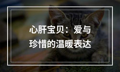 心肝宝贝：爱与珍惜的温暖表达