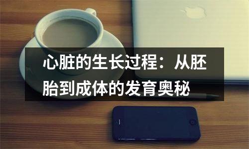 心脏的生长过程：从胚胎到成体的发育奥秘