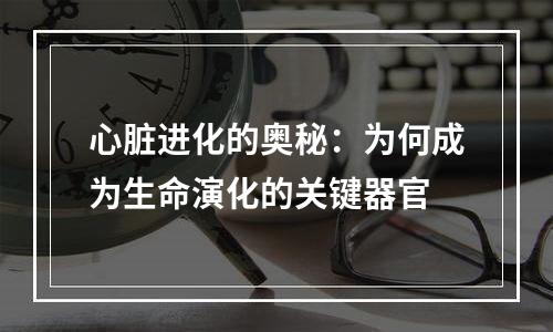 心脏进化的奥秘：为何成为生命演化的关键器官