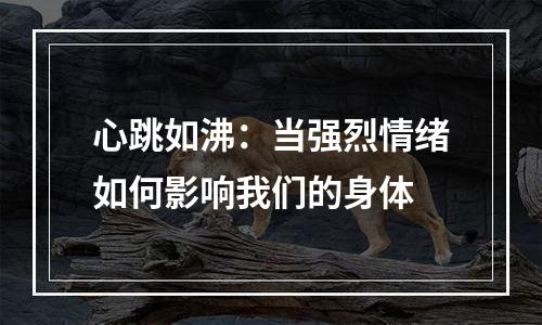 心跳如沸：当强烈情绪如何影响我们的身体
