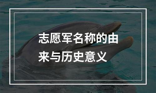 志愿军名称的由来与历史意义