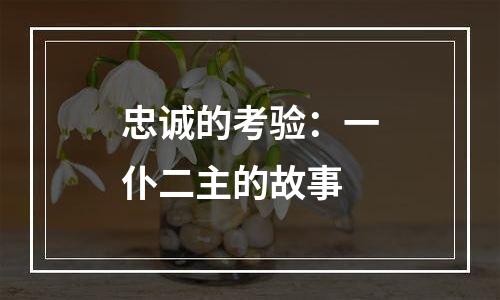 忠诚的考验：一仆二主的故事