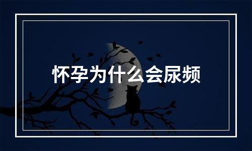 怀孕为什么会尿频