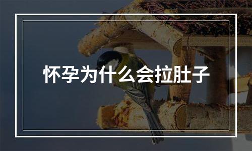 怀孕为什么会拉肚子