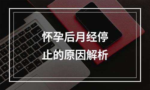 怀孕后月经停止的原因解析