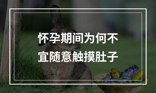 怀孕期间为何不宜随意触摸肚子