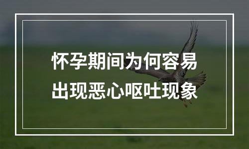 怀孕期间为何容易出现恶心呕吐现象