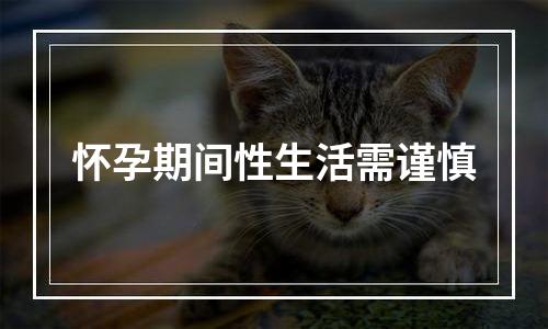 怀孕期间性生活需谨慎