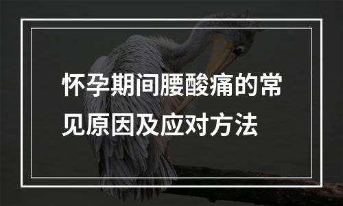 怀孕期间腰酸痛的常见原因及应对方法