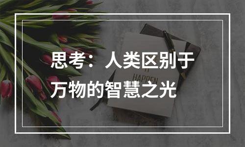 思考：人类区别于万物的智慧之光
