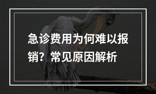 急诊费用为何难以报销？常见原因解析