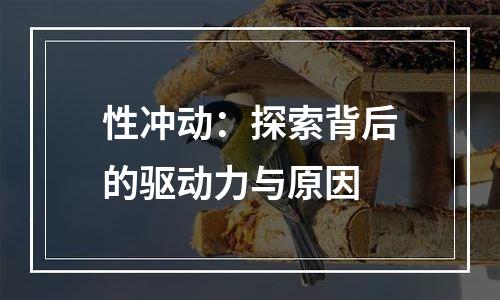 性冲动：探索背后的驱动力与原因